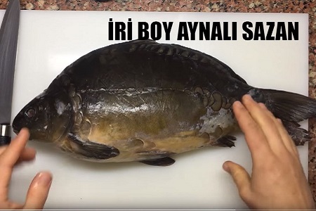 \d/BalikTarifleri/aynali-sazan-nasil-pisirilir-20190806.JPG